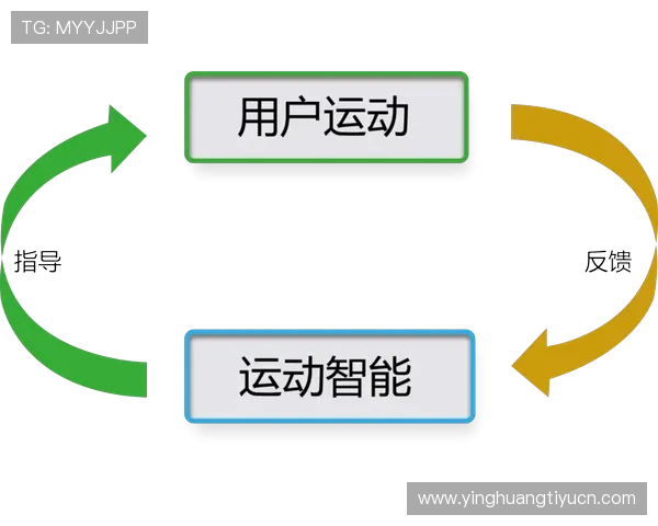 全面解析v体育游戏官网的功能特色与用户体验，提升您的在线体育娱乐体验