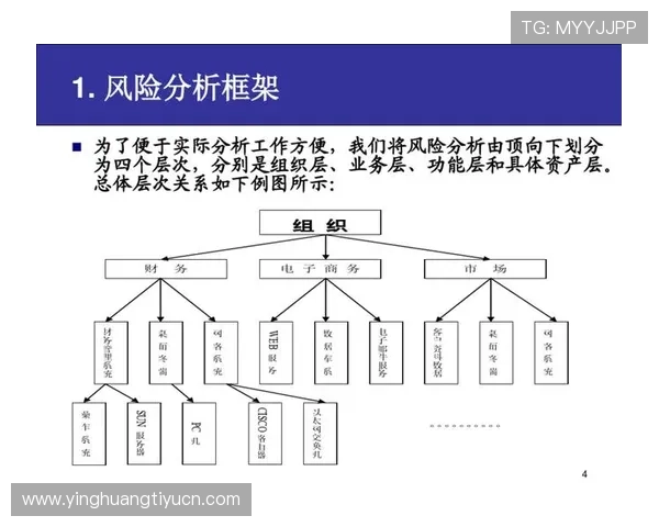 大型体育活动风险点分析与有效应对策略全面解析提升赛事安全管理水平的方法