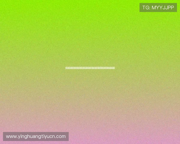 通过技术统计分析世界杯伊朗新西兰比赛中的关键球员表现与战术执行情况